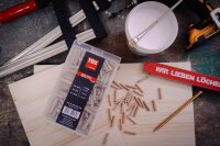 TOX Boltfix wood 094900100 Holzdübel-Sortiment, 190-teilig