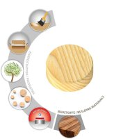 TOX Querholzplättchen-Sortiment Cookie wood Mini 82 tlg.