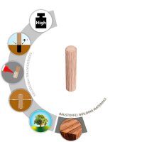 TOX BOLTFIX wood 015600101 Holzdübel Ø 6 mm x 30 mm, 1.000 St.