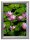 update displays  Klapprahmen silber 27,6 x 36,6 cm, 1 St.