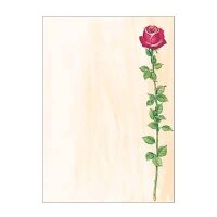 SIGEL Motivpapier Rose Bloom Motiv DIN A4 90 g/qm 25...