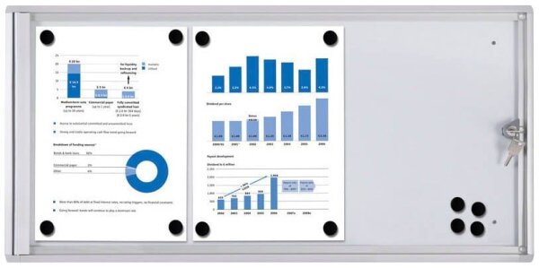 Showdown® Displays Schaukasten Economy XS silber 3x DIN A4 71,1 x 2,6 x 35,0 cm, 1 St.