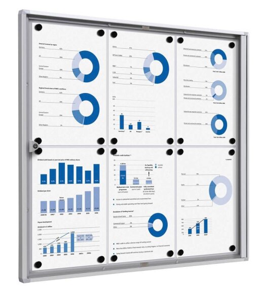 Showdown® Displays Schaukasten Economy XS silber 6x DIN A4 71,1 x 2,6 x 65,5 cm, 1 St.