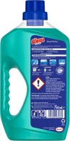 DER GENERAL UNIVERSAL Allzweckreiniger 750 ml, 1 St.