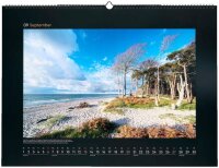 KUNTH Monats-Wandkalender Wildnis Deutschland 2026, 1 St.
