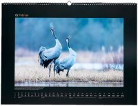 KUNTH Monats-Wandkalender Wildnis Deutschland 2026, 1 St.