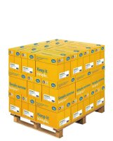 Data copy Kopierpapier Everyday Printing DIN A4 80 g/qm...