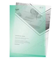 LEITZ Sichthüllen Premium 4100 DIN A4 grün glatt 0,15 mm, 100 St.