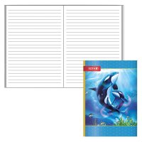 ROTH Schulheft Orcas Lineatur 51 liniert DIN A6 ohne...