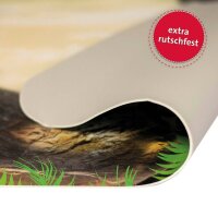ROTH Schreibtischunterlage Tyrannosaurus bunt Kunstleder 59,0 x 39,0 cm, 1 St.