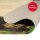 ROTH Schreibtischunterlage Tyrannosaurus bunt Kunstleder 59,0 x 39,0 cm, 1 St.