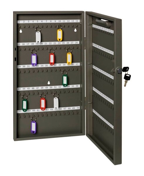 ALCO Schlüsselkasten grau mit 140 Haken, Zylinderschloss, 27,0 x 5,2 x 51,5 cm, 1 St.