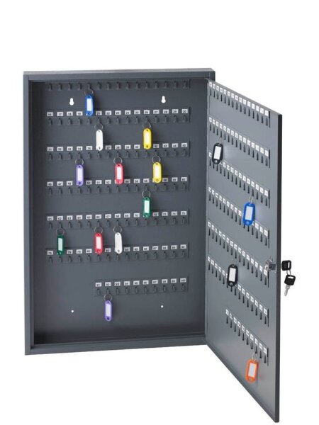 ALCO Schlüsselkasten grau mit 200 Haken, Zylinderschloss, 45,0 x 5,0 x 68,0 cm, 1 St.