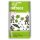 ROTH Klebetattoo Tyrannosaurus verschiedene Motive, 32 Etiketten