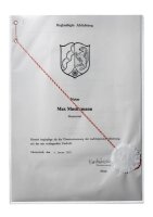 DURABLE Dokumentenhüllen transparent A4, 10 St.