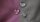 SITTING POINT DotCom SCUBA Bebop Sitzsack aubergine, anthrazit