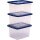 Bankers Box Aufbewahrungsboxen 22,0 l transparent, blau 32,0 x 40,0 x 24,5 cm, 10 St.