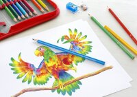 FABER-CASTELL Ergonomics Buntstifte farbsortiert, 24 St.