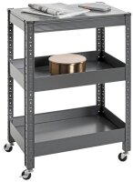 HAKU Möbel Servierwagen grau 50,0 x 32,0 x 75,0 cm