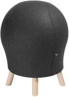 Topstar Ballsitz Sitness 5 Alpine 71260 L52 anthrazit, 1 St.
