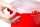 sistema® Mikrowellen-Reiskocher Reiskocher rot, transparent 2,6 l, 1 St.  ( SI1110 )