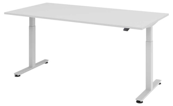 HAMMERBACHER XMST2E elektrisch höhenverstellbarer Schreibtisch lichtgrau rechteckig, T-Fuß-Gestell silber 200,0 x 100,0 cm