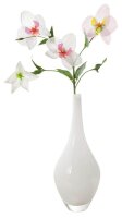 folia Transparentpapier EXTRA STARK farbsortiert 115 g/qm 25 Rollen