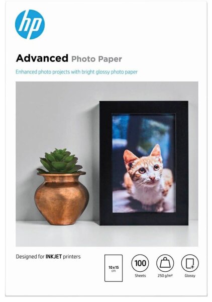 HP Fotopapier Q8692A 10,0 x 15,0 cm glänzend 250 g/qm 100 Blatt