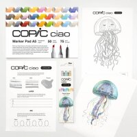 COPIC® Ciao 2D Pastel Palette Starter...