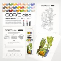 COPIC® Ciao 3D Botanic Palette Starter Layoutmarker-Set farbsortiert 1,0 + 6,0 mm, 1 Set