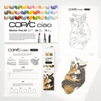 COPIC® Ciao 2D Pet Palette Starter Layoutmarker-Set farbsortiert 1,0 + 6,0 mm, 1 Set