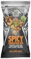 NOY NUTS SPICY SENSATION MIX  12 x 45,0 g, 12 St.