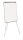 Bi-Office Earth Flipchart EARTH EA2306995