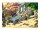 Ravensburger EXIT-Puzzle Kids Das Piratenabenteuer Puzzle, 368 Teile