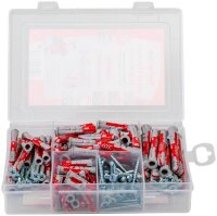 fischer Meister-Box Altbau 540299 Dübel- und Schrauben-Sortiment, 150-teilig