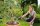 GARDENA Gartenbrause Premium Multibrause