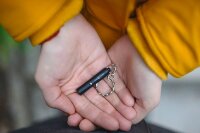 ANSMANN Keychain LED Taschenlampe schwarz 5,0 cm, 1 St.