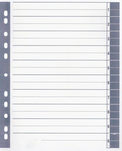 Wekre Trennblätter DIN A4 1-0 weiß/grau, 230 g/m², 100 Blatt