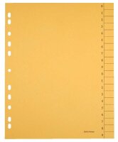 Trennblätter DIN A4 0-9 farbsortiert, 250 g/qm, 100 Blatt