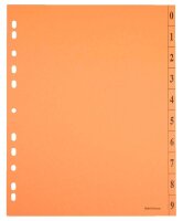 Trennblätter DIN A4 0-9 farbsortiert, 250 g/qm, 100 Blatt