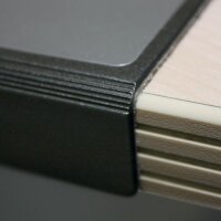 DURABLE Schreibtischunterlage schwarz Kunststoff 65,0 x 52,0 cm, 1 St.