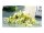 GEFU® Reibe VITALES, 1 St.