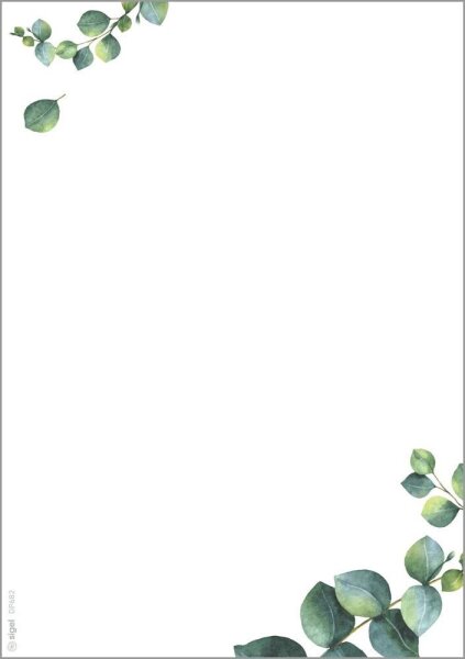 SIGEL Motivpapier weiß,grün DIN A5 90 g/m² 100 Blatt