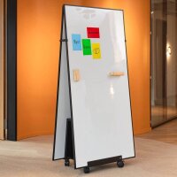 SIGEL Moderationskarten Magnetic Notes farbsortiert 10,0 x 15,0 cm, 25 St.