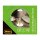 Idena 50152 Touch LED Tischlampe beige