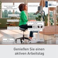 LEITZ Sitz- & Stehhocker Ergo Active 65770095 grau, 1 St.