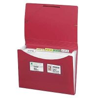 FolderSys Fächermappe 12 Fächer rot, 1 St.