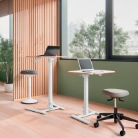 LEITZ Ergo Compact höhenverstellbarer Schreibtisch weiß rechteckig, A-Fuß-Gestell weiß 65,0 x 46,0 cm