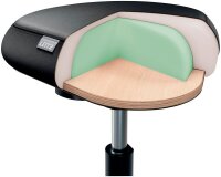 LEITZ Sitz- & Stehhocker Ergo Active mit Rollen 65780095 schwarz, 1 St.