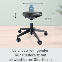 LEITZ Sitz- & Stehhocker Ergo Active mit Rollen 65780095 schwarz, 1 St.